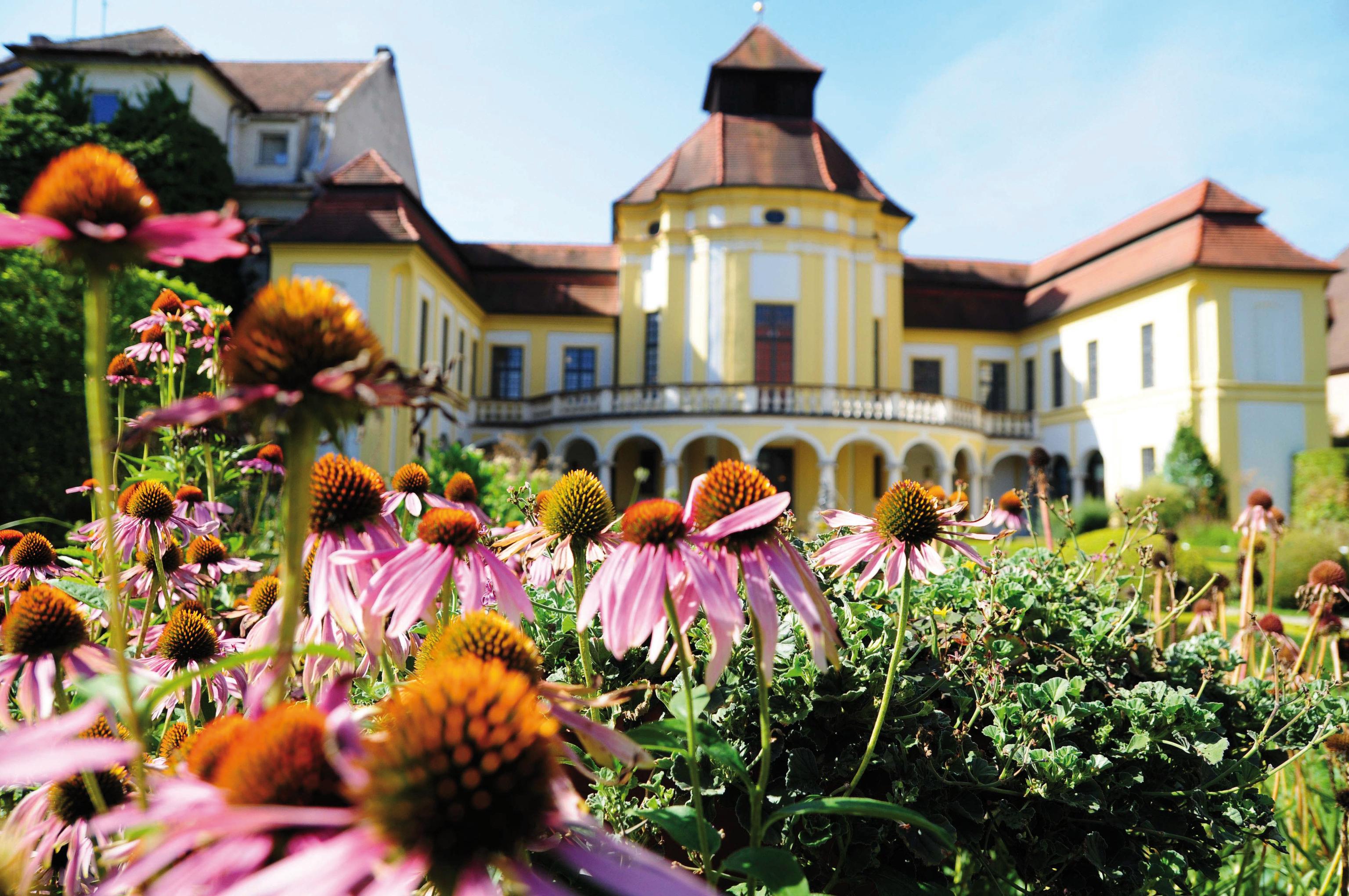 Alte Anatomie und Anatomiegarten