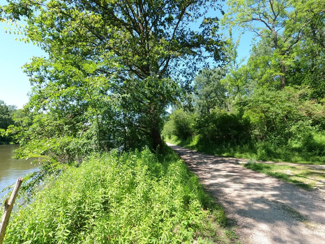 Image for Gerolfing Schafirrsee