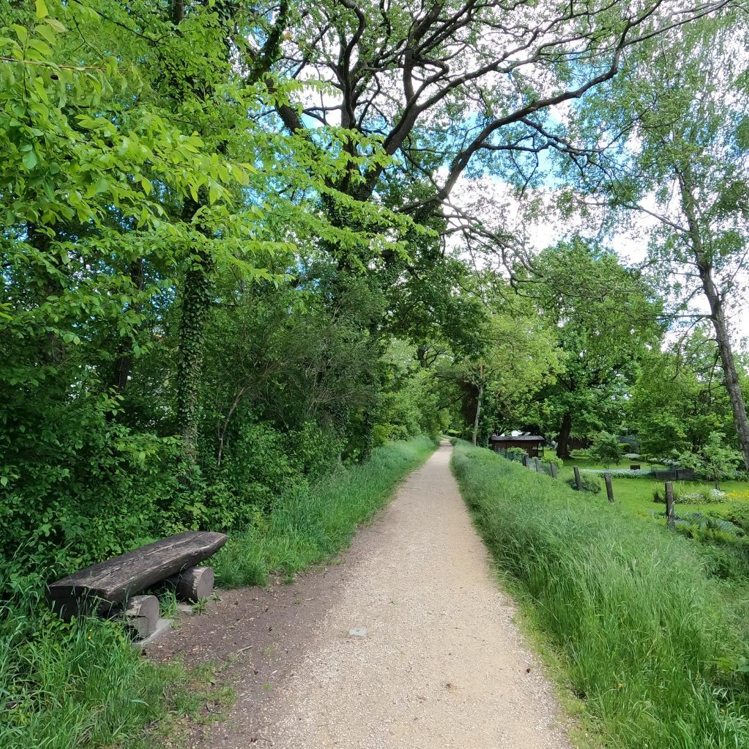 Image for Route zum Fort Haslang-Park
