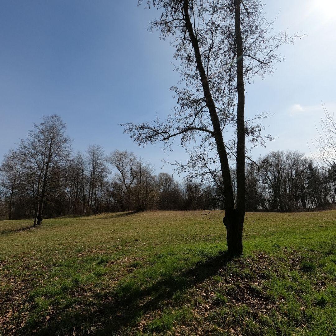 Image for Staustufe und Fort Peyerl