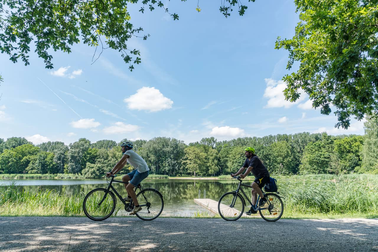 Radblüten Stadt Ingolstadt