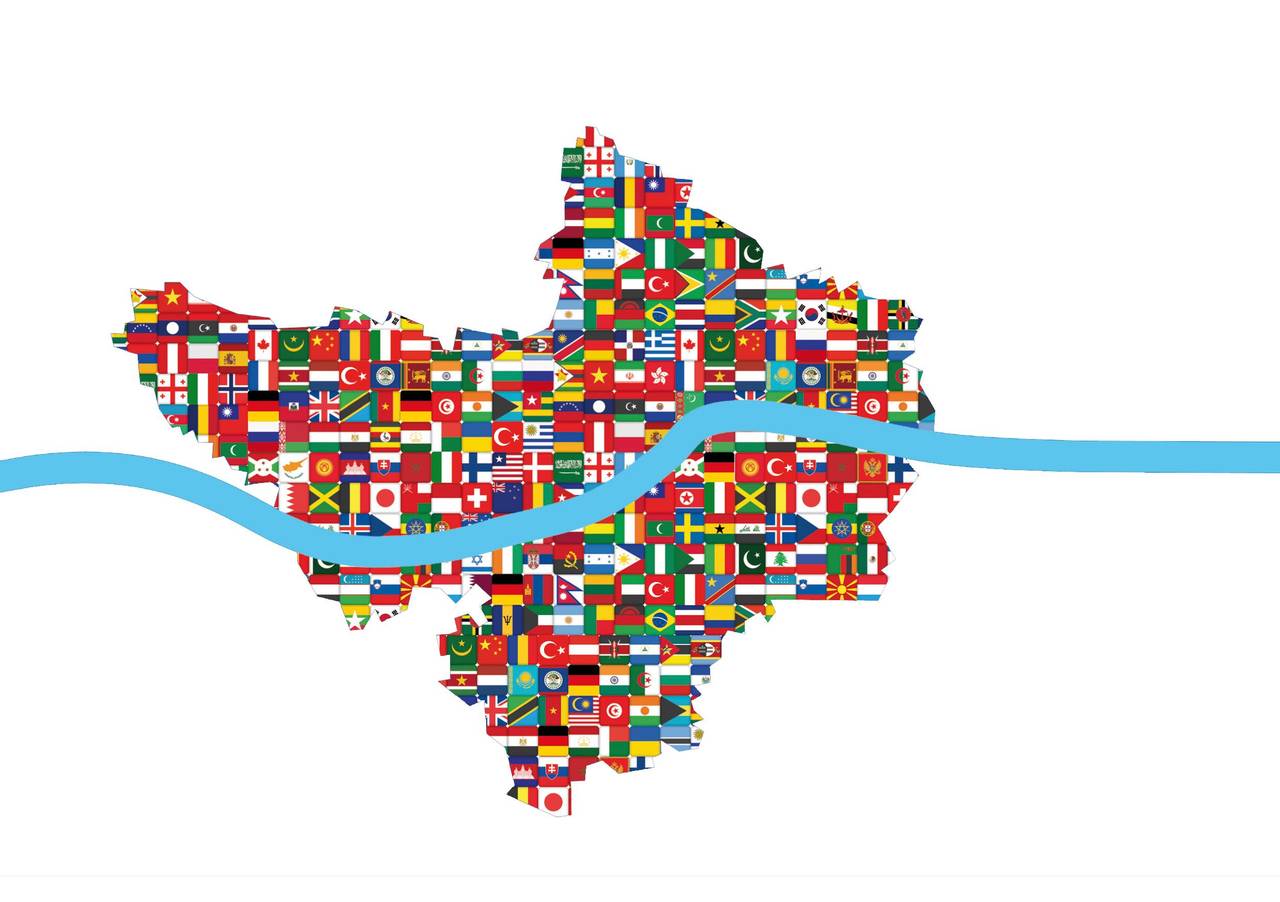 Stadt Ingolstadt, Integrationsbeauftragte - Banner