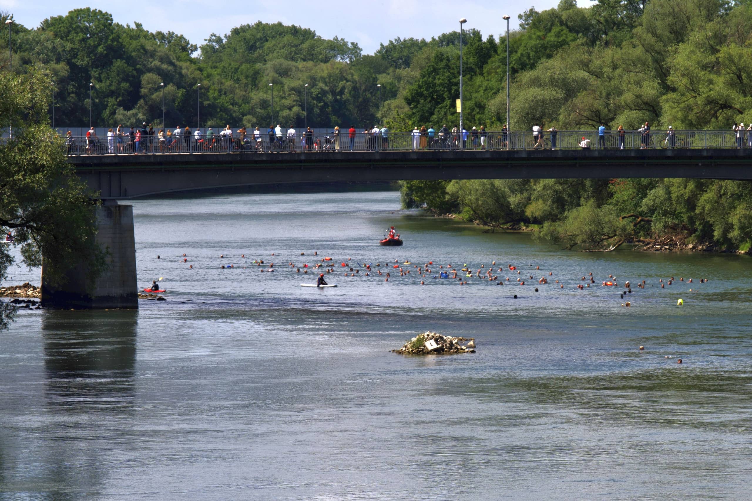 Image for Traditionelles Donauschwimmen -