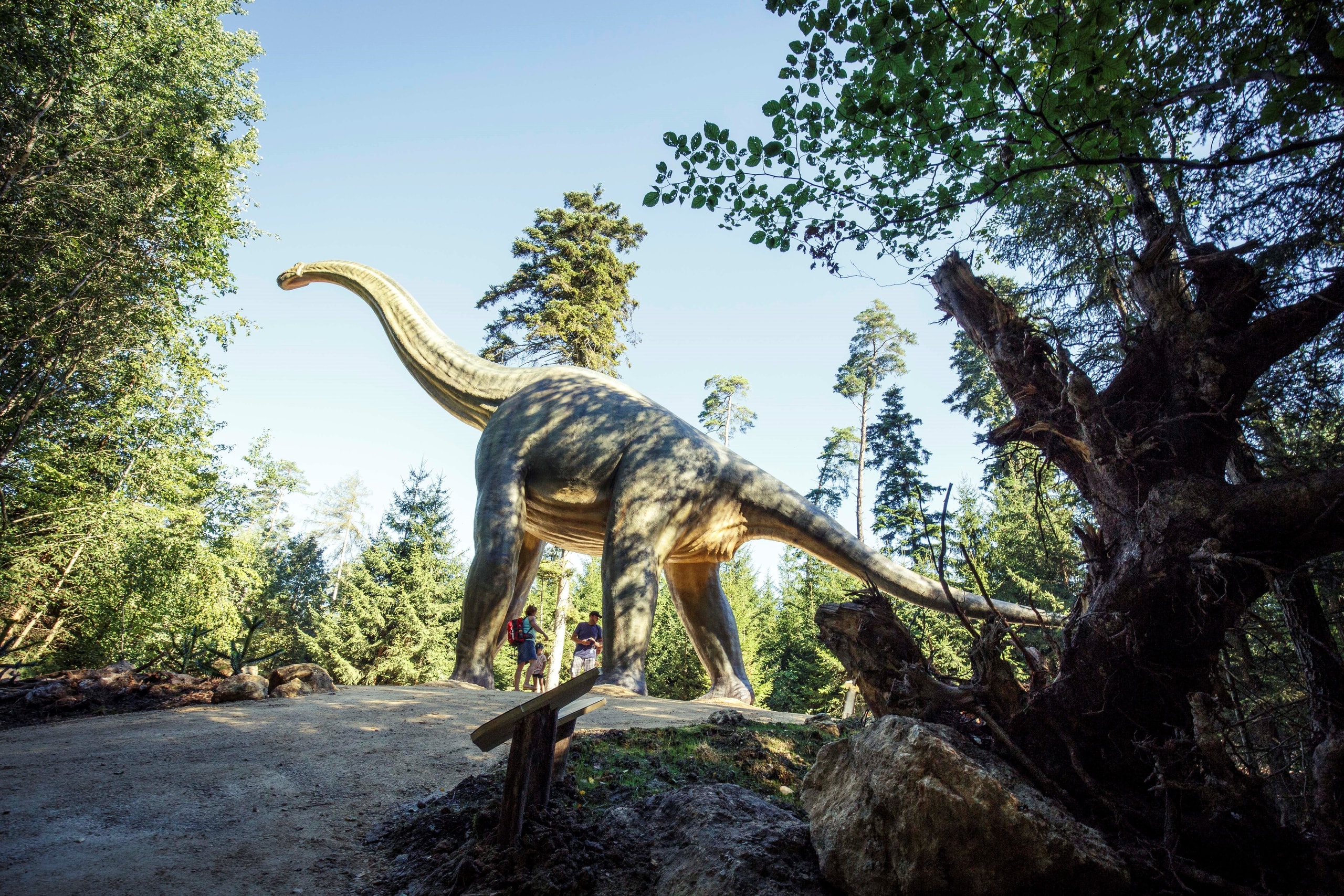 Image for Dinosaurier Museum Altmühltal