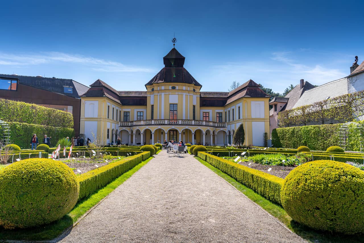 Image for Die Alte Anatomie