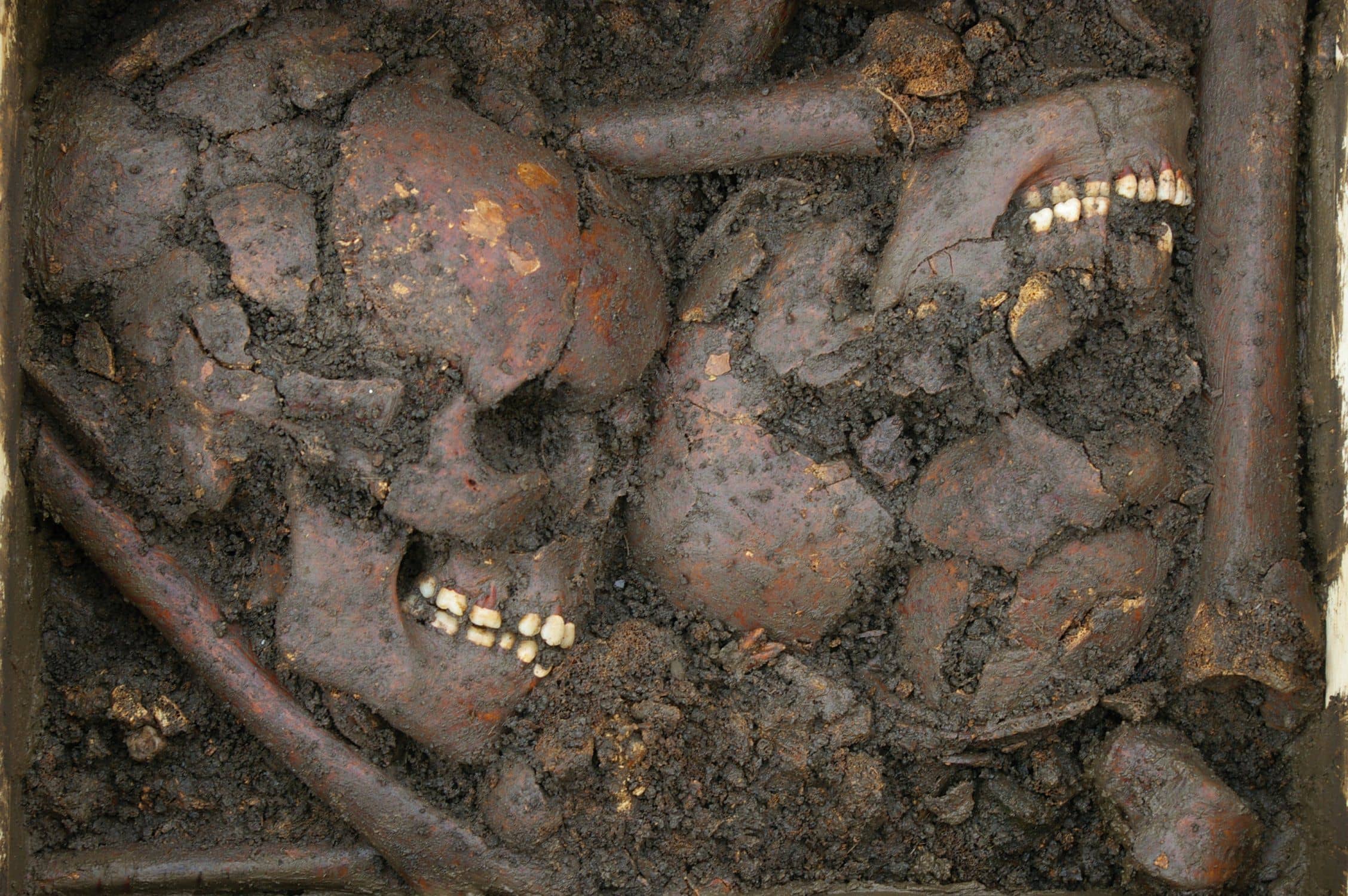 Image for Ein Massengrab im Museum - Bayerisches Armeemuseum